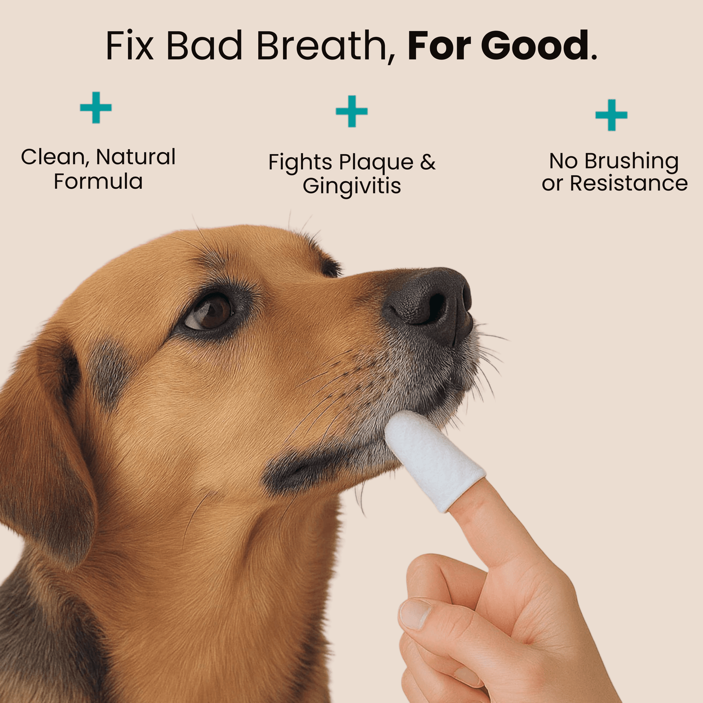 Elarie™ Natural Pet Dental Finger Wipes