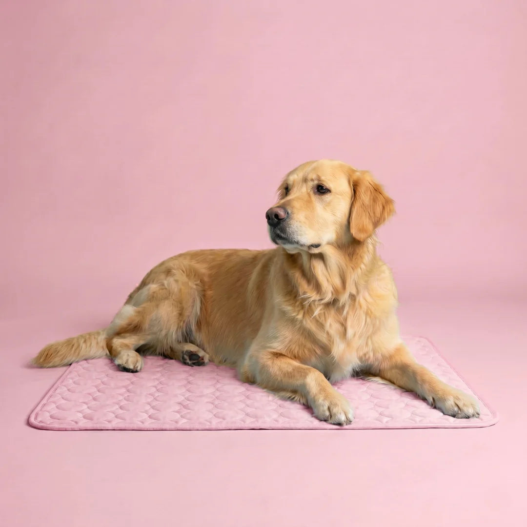 Elarie™ Cooling Dog Mat
