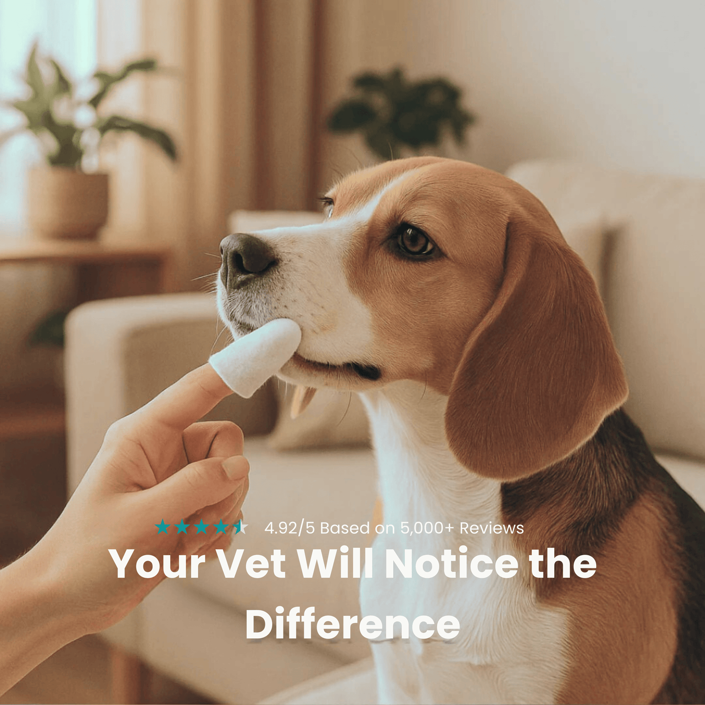 Elarie™ Natural Pet Dental Finger Wipes