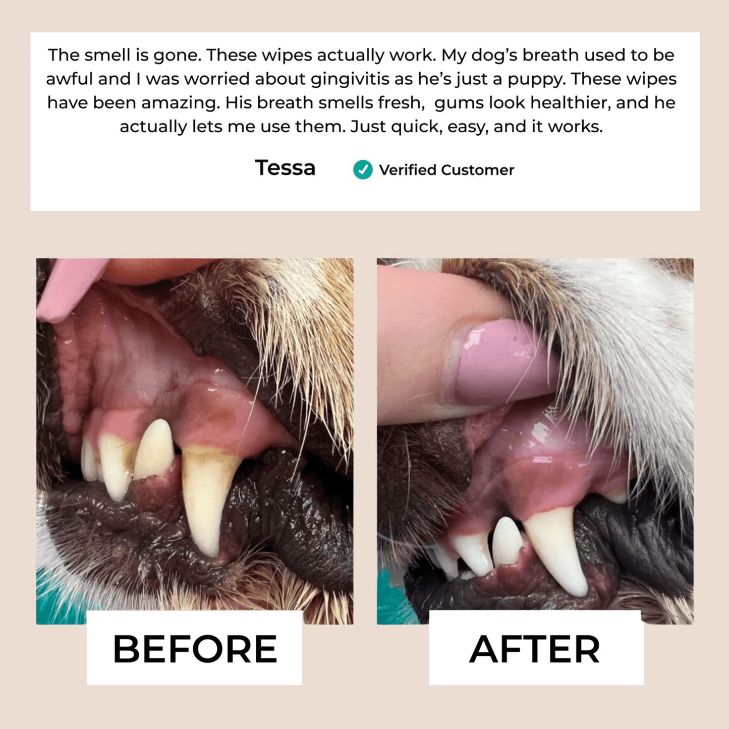 Elarie™ Natural Pet Dental Finger Wipes