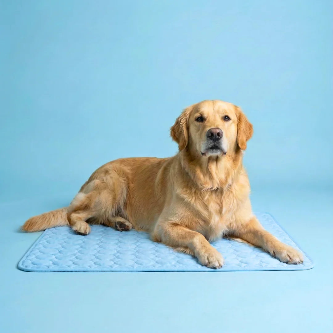 Elarie™ Cooling Dog Mat
