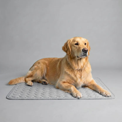 Elarie™ Cooling Dog Mat