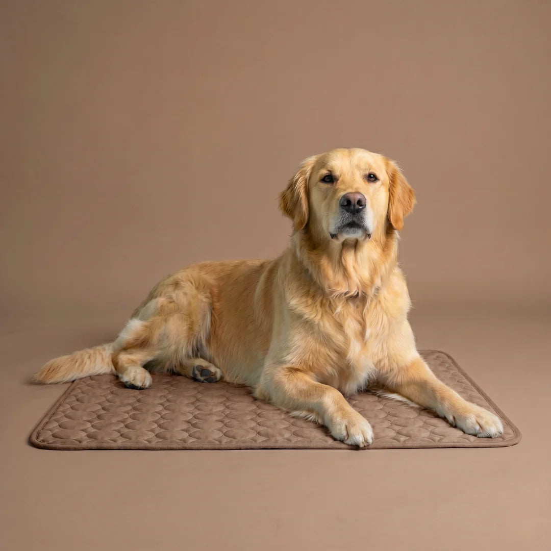 Elarie™ Cooling Dog Mat