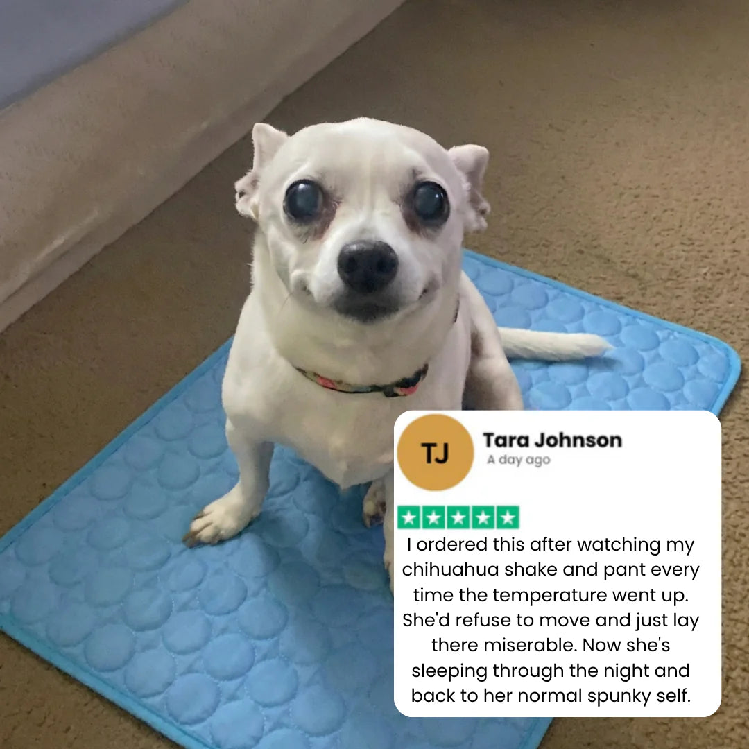 Elarie™ Cooling Dog Mat